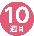 10週間