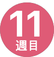 11週間