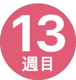13週間