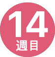 14週間