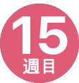 15週間