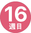16週間