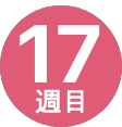 17週間