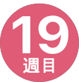 19週間