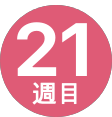 21週間