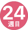 24週間