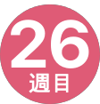 26週間