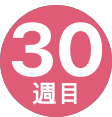 30週間