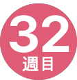 32週間