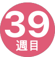 39週間