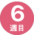 6週間